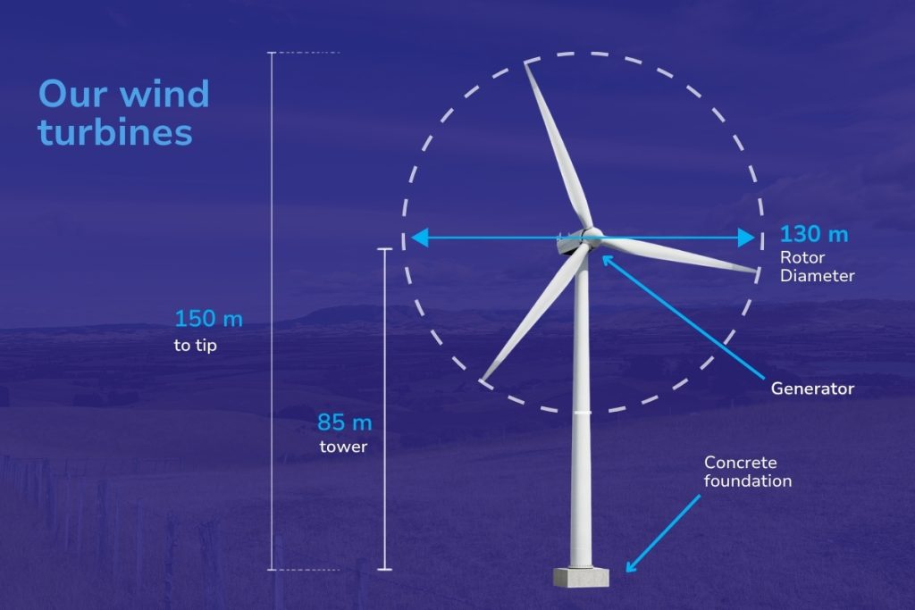 Mt Cass Facts graphic (1)