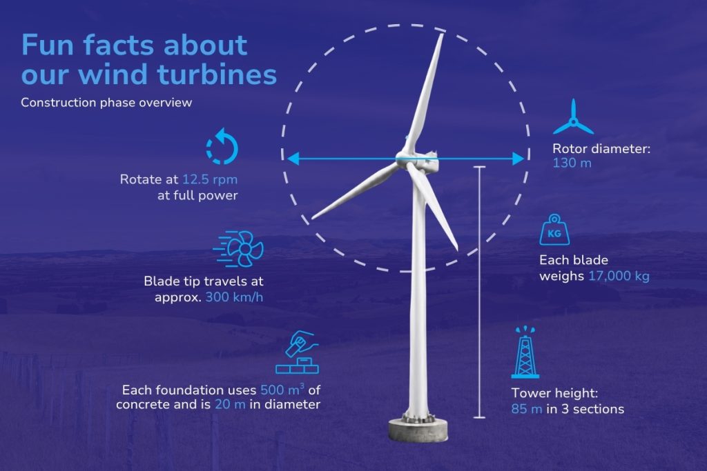 Mt Cass Facts graphic